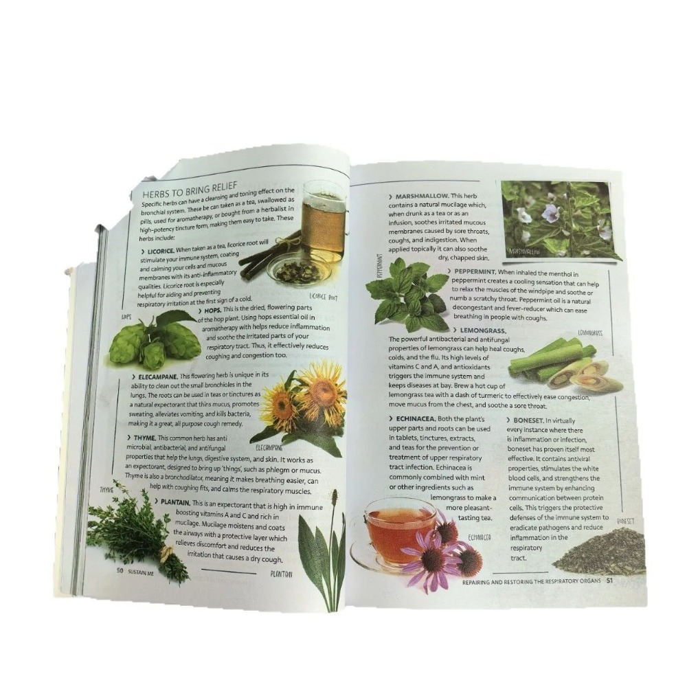 Sustain Me English Paperback a – Health Wellness Foundation recenzja i cena