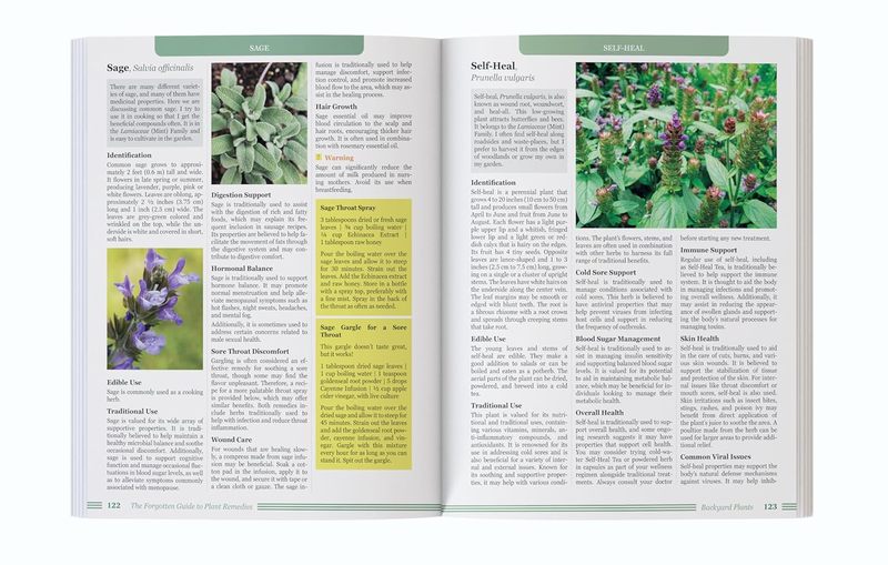 Zapomniany przewodnik po zioło – Holistic Health & Wellness recenzja i cena